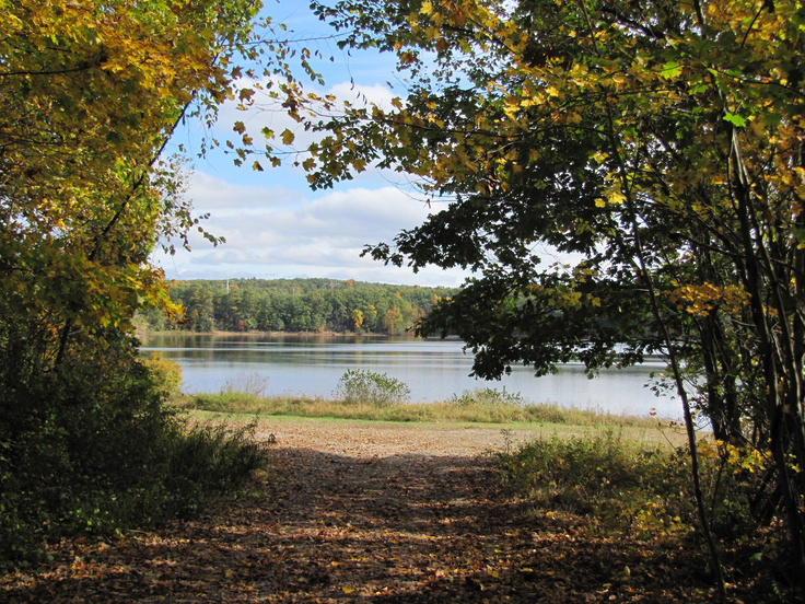 mansfield-hollow
